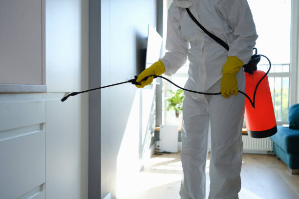 Best Fumigation Services  in Charleston, MO